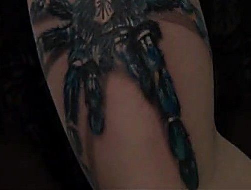 Blue tarantula realism tattoo